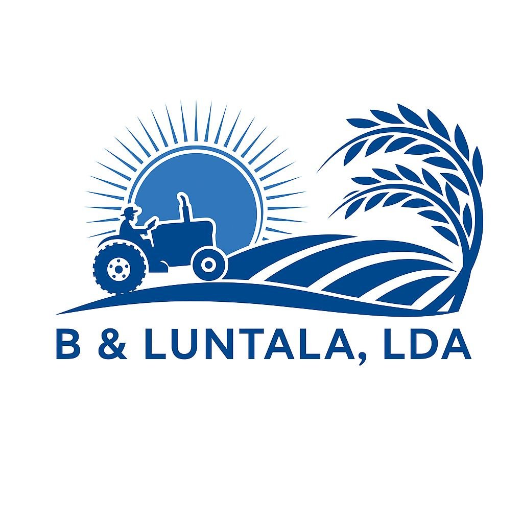 Logo B & LUNTALA, LDA